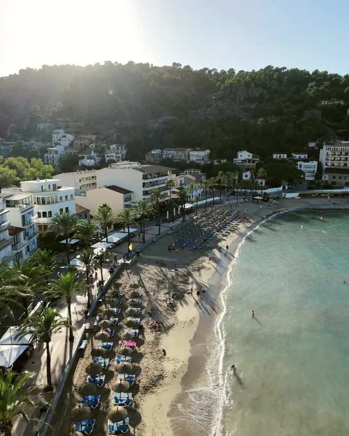 Playa a contraluz con el paseo de palmeras