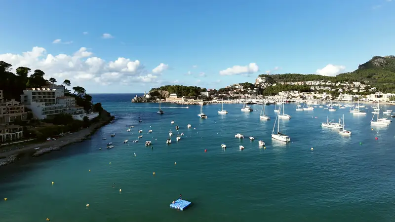 Bahía con barcos vista desde el dron